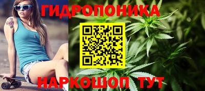 кокс Краснодар
