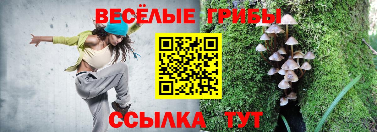 Галлюциногенные грибы ЛСД  Галлюциногенные грибы ЛСД  Вход с VPN  Сыктывкар 